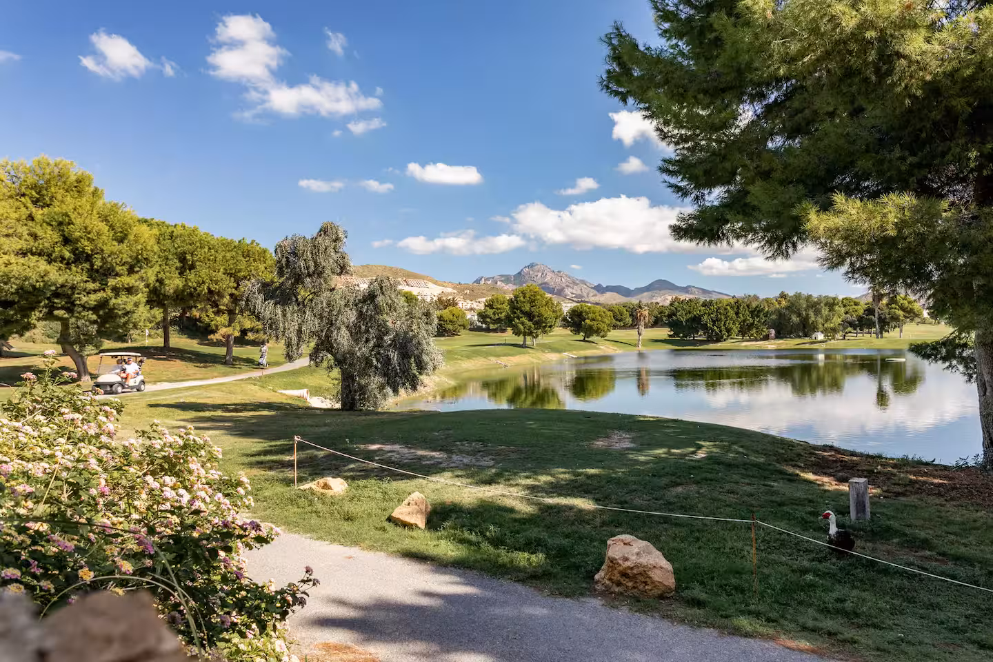 Bonalba Golf